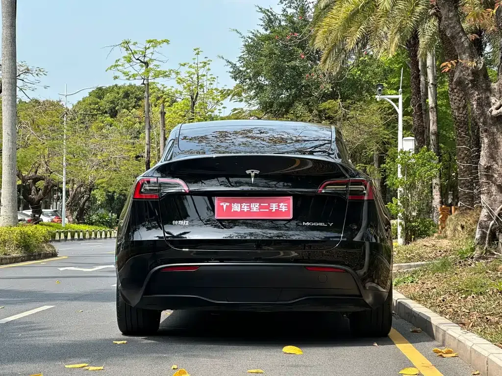 Tesla Model Y — фото 6