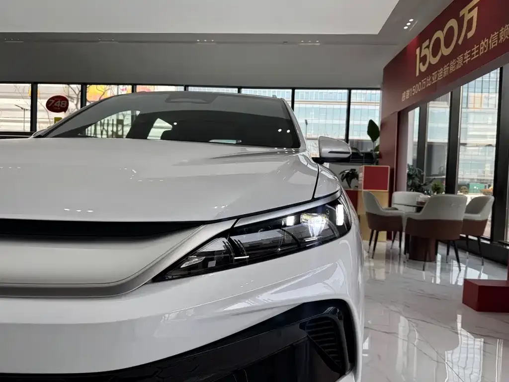 BYD Pro New Energy — фото 3