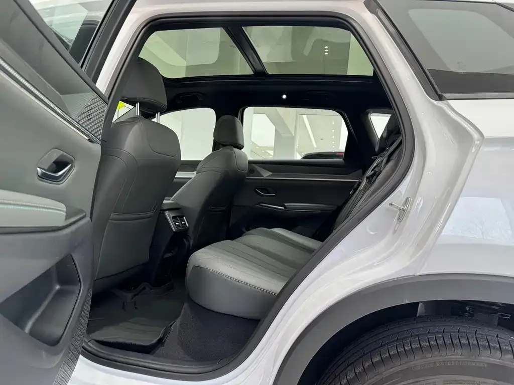 BYD Pro New Energy — фото 2