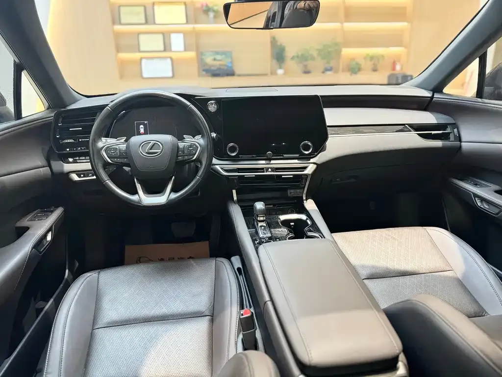 Lexus RX — фото 10