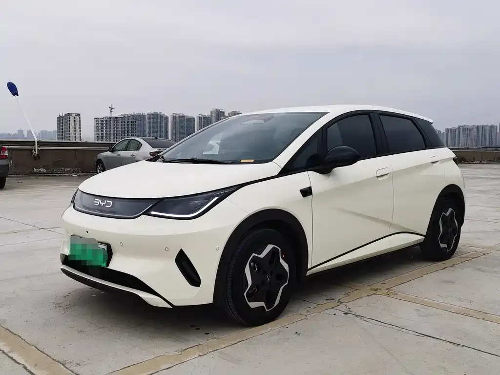 BYD Dolphin 2025 из CN, фото 1