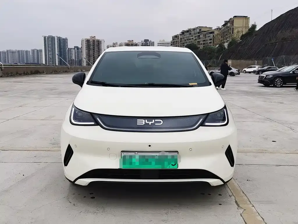 BYD Dolphin 2025 из CN, фото 4