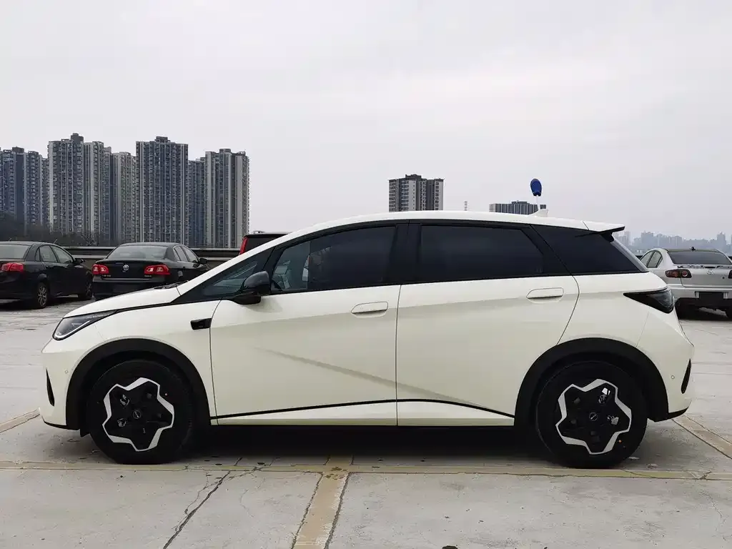 BYD Dolphin 2025 из CN, фото 5
