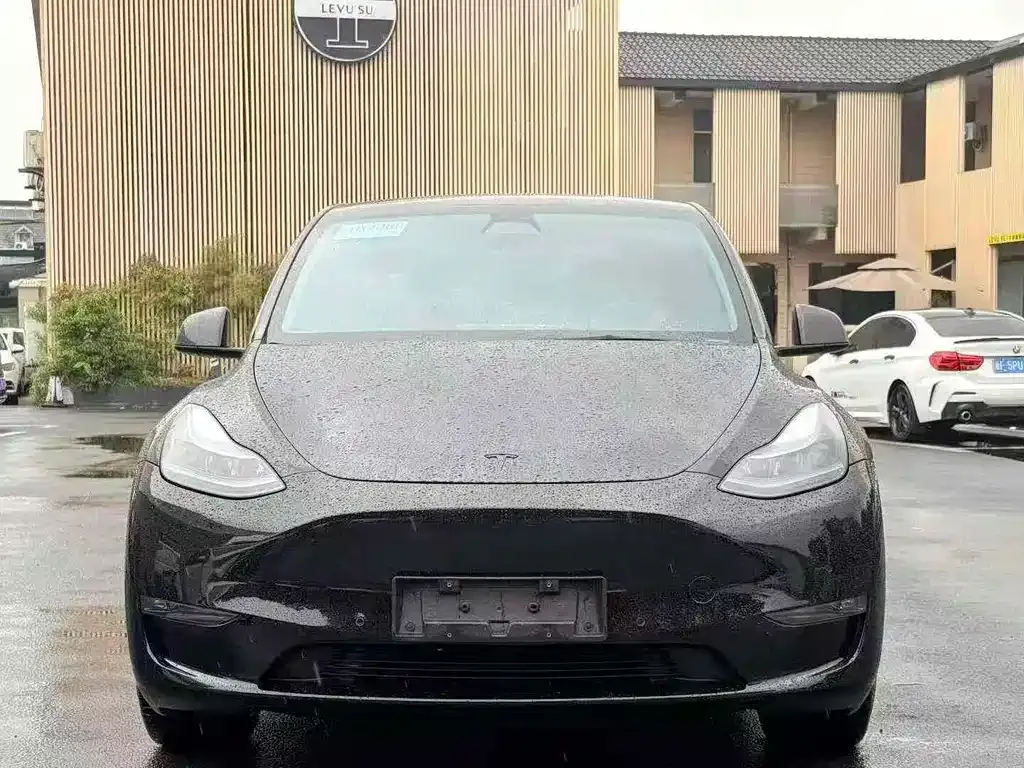 Tesla Model Y 2023 из CN, фото 6