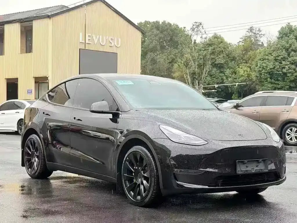 Tesla Model Y 2023 из CN, фото 2