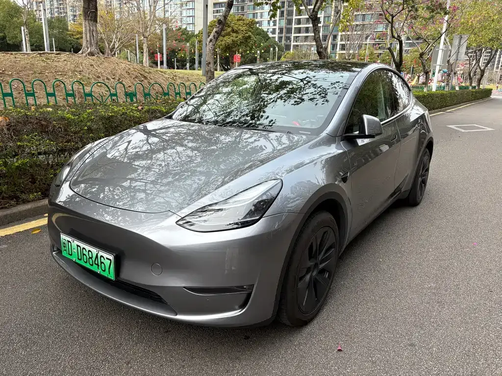 Tesla Model Y — фото 1