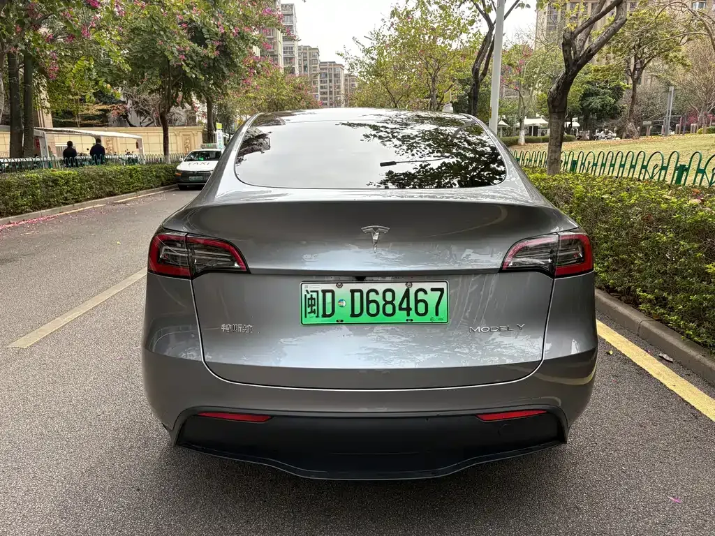 Tesla Model Y — фото 6