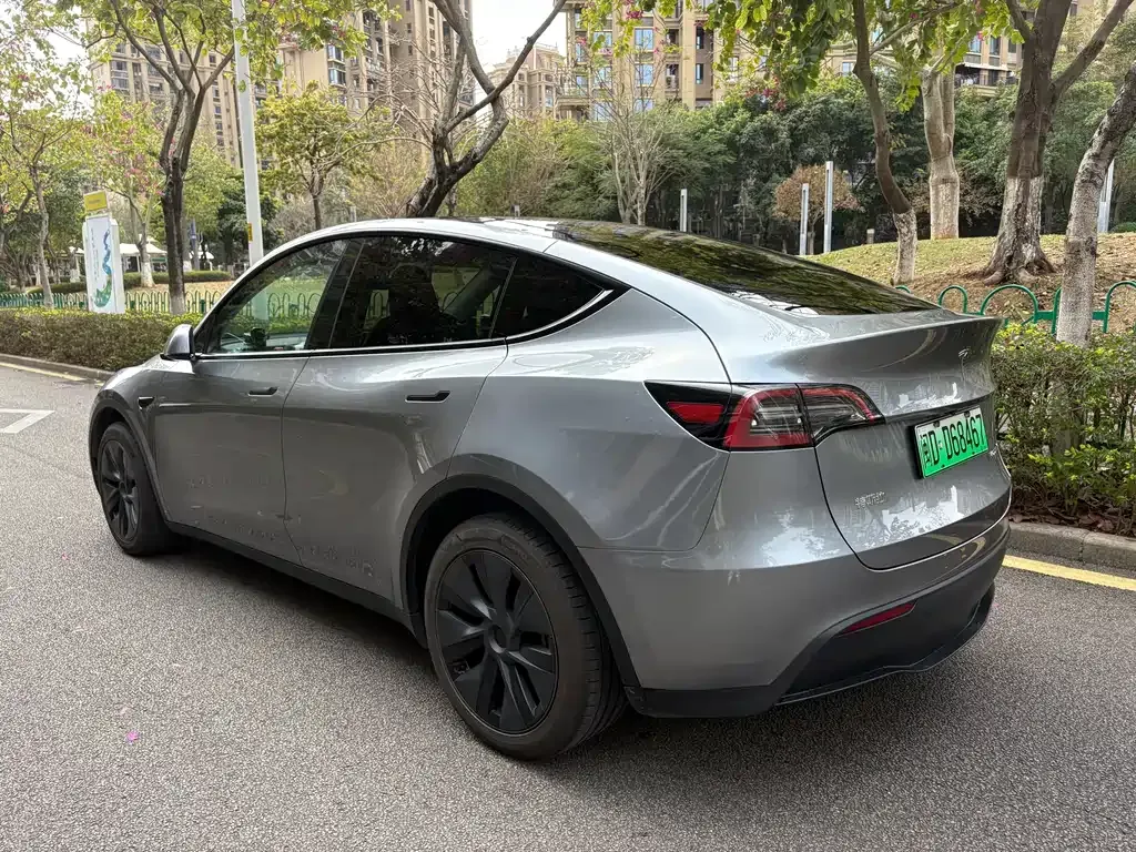 Tesla Model Y — фото 9