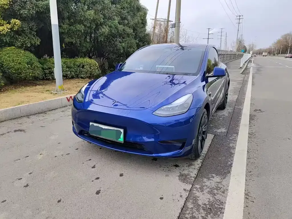 Tesla Model Y — фото 1