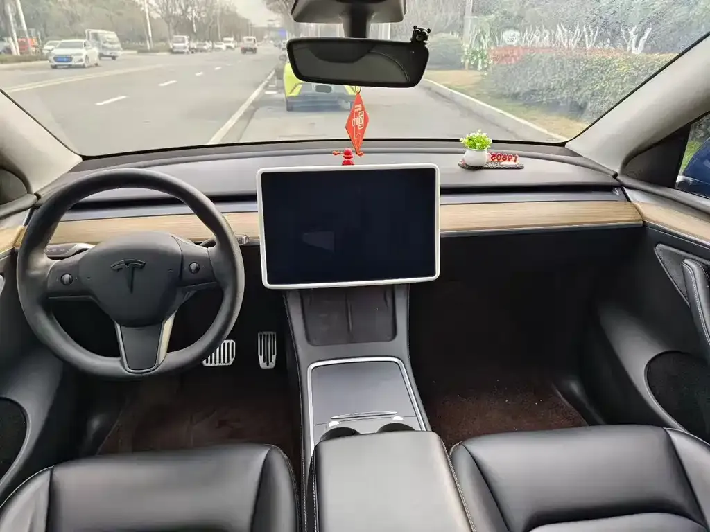 Tesla Model Y — фото 2