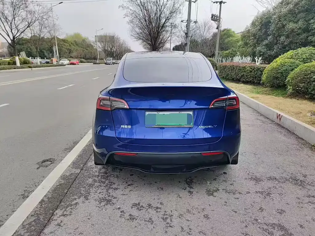 Tesla Model Y — фото 7