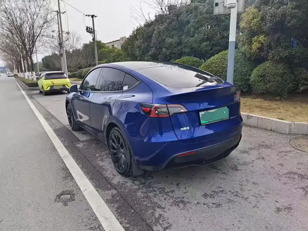 Tesla Model Y — фото 8