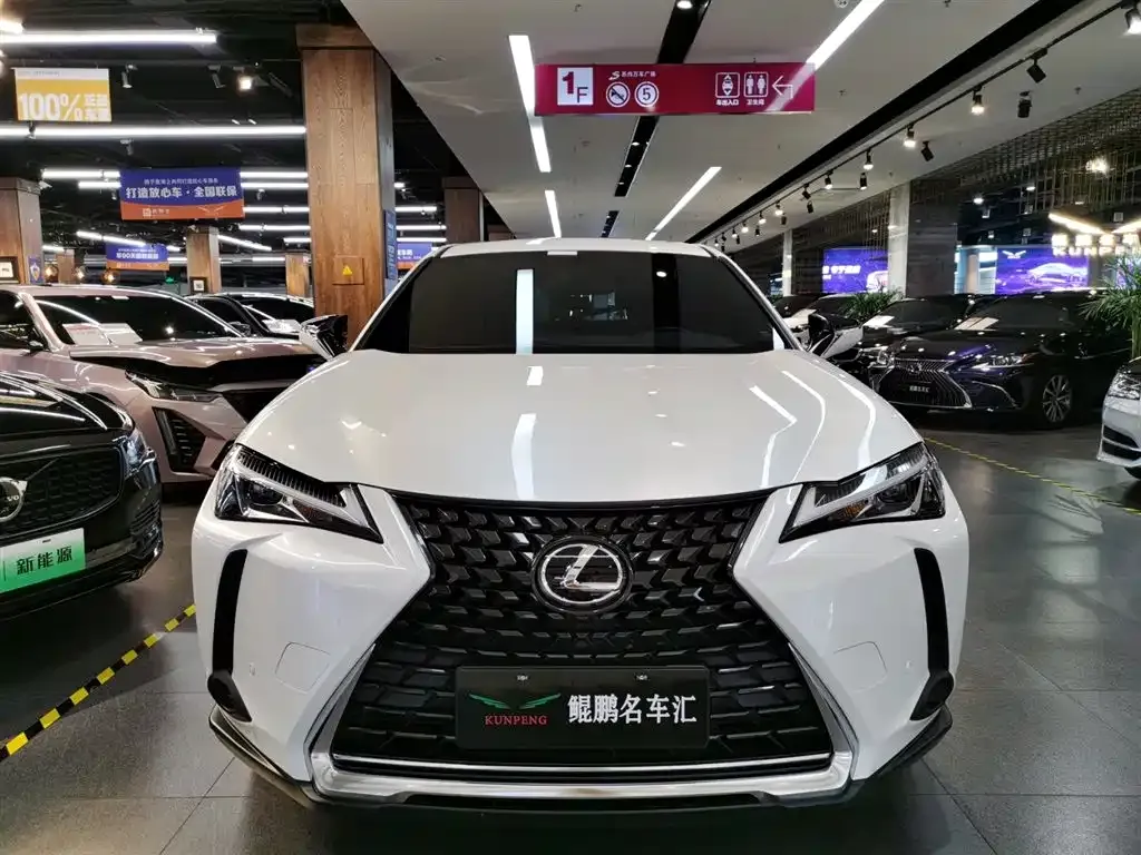 Lexus UX 2022 из CN, фото 2