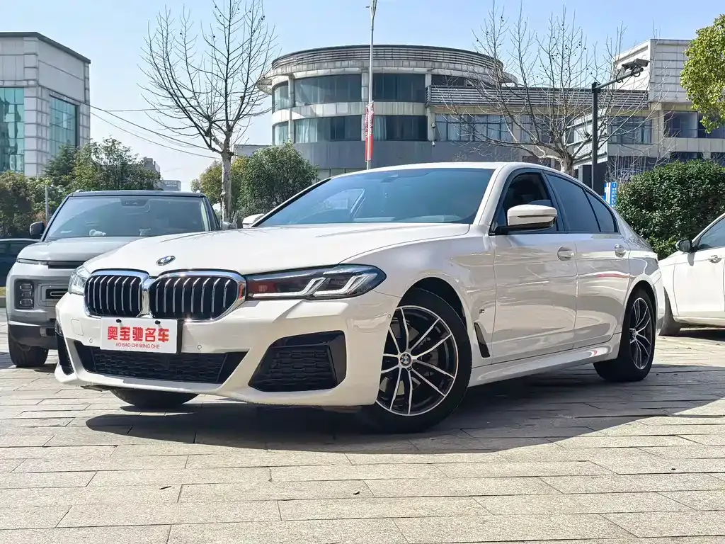 BMW 5 Series (Import)
