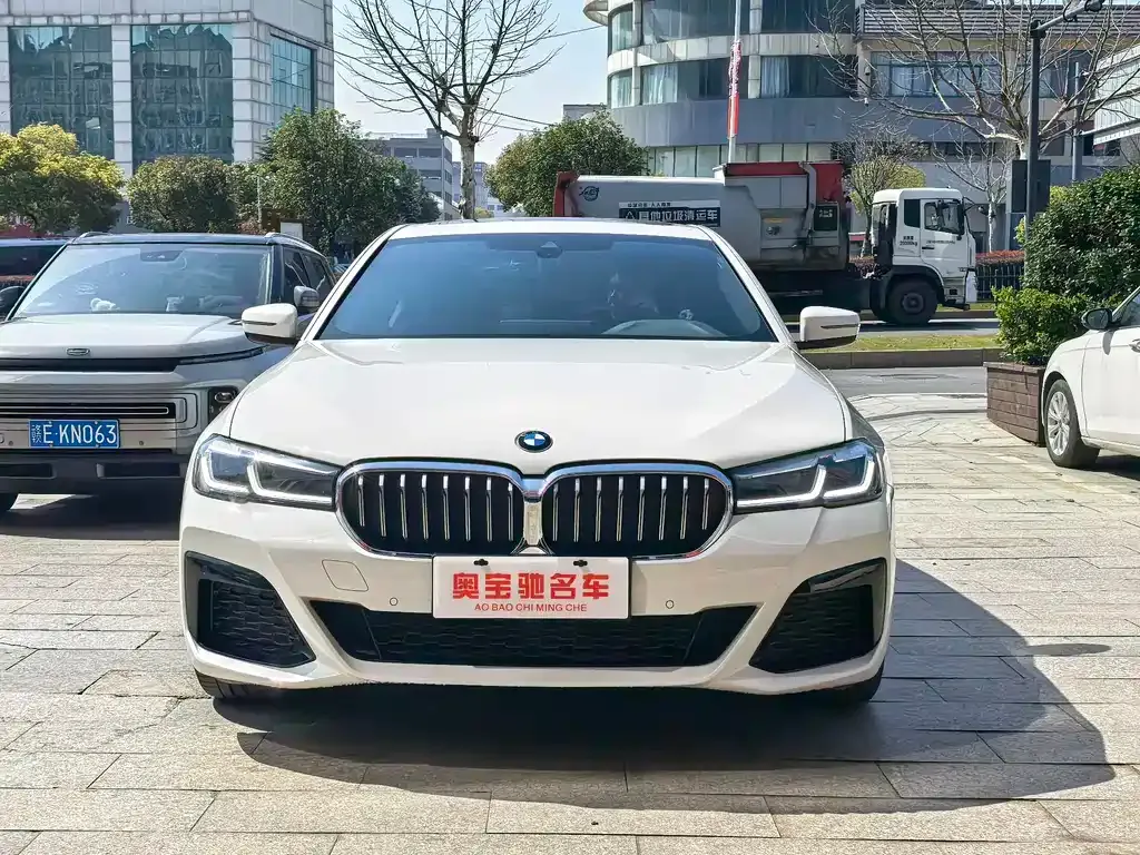 BMW 5 Series (Import) 2021 из CN, фото 7