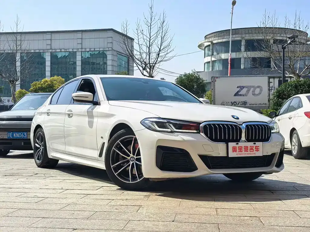 BMW 5 Series (Import) 2021 из CN, фото 6
