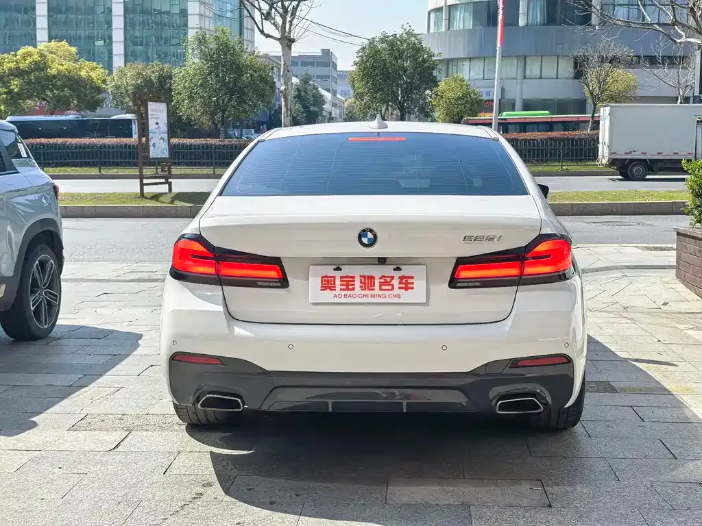 BMW 5 Series (Import) 2021 из CN, фото 10