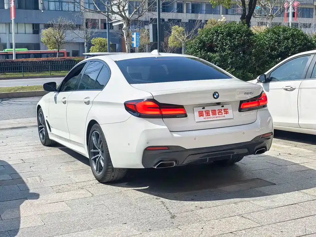 BMW 5 Series (Import) 2021 из CN, фото 3
