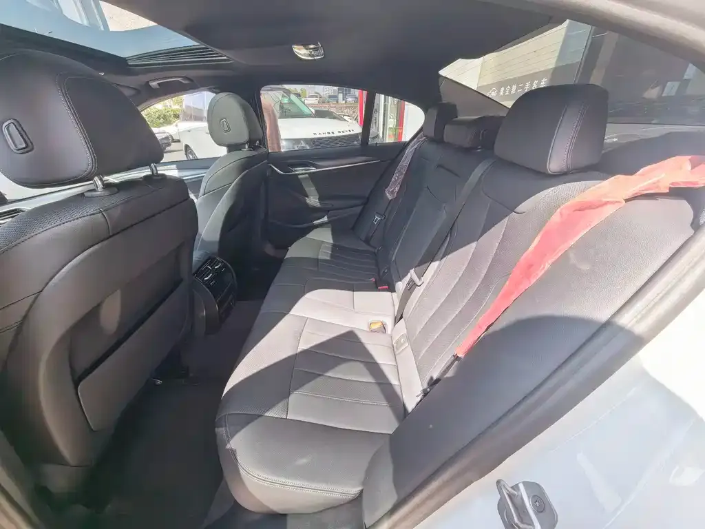BMW 5 Series (Import) 2021 из CN, фото 8