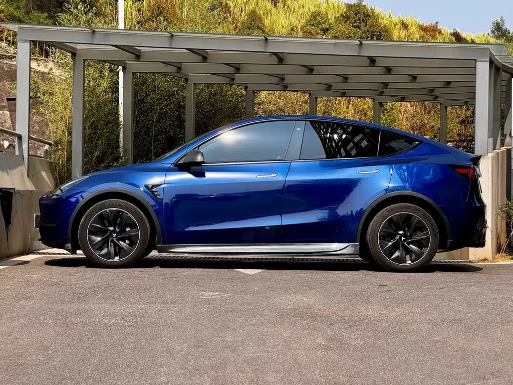 Tesla Model Y — фото 3