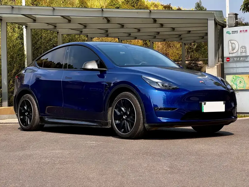 Tesla Model Y — фото 10
