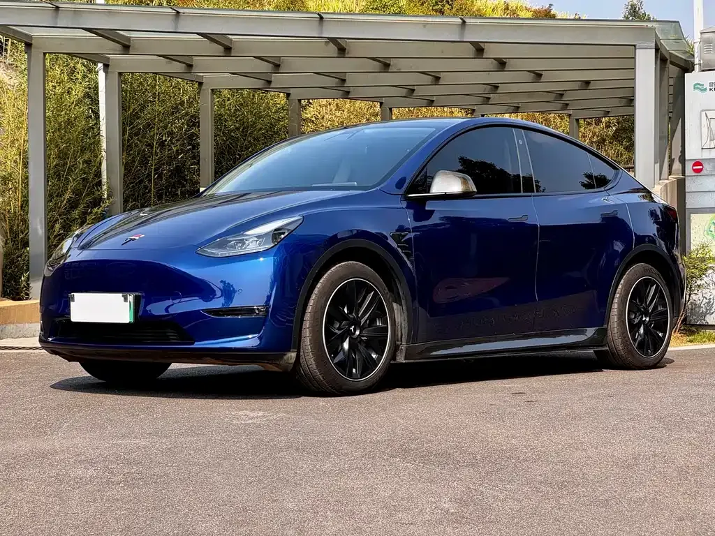 Tesla Model Y — фото 7