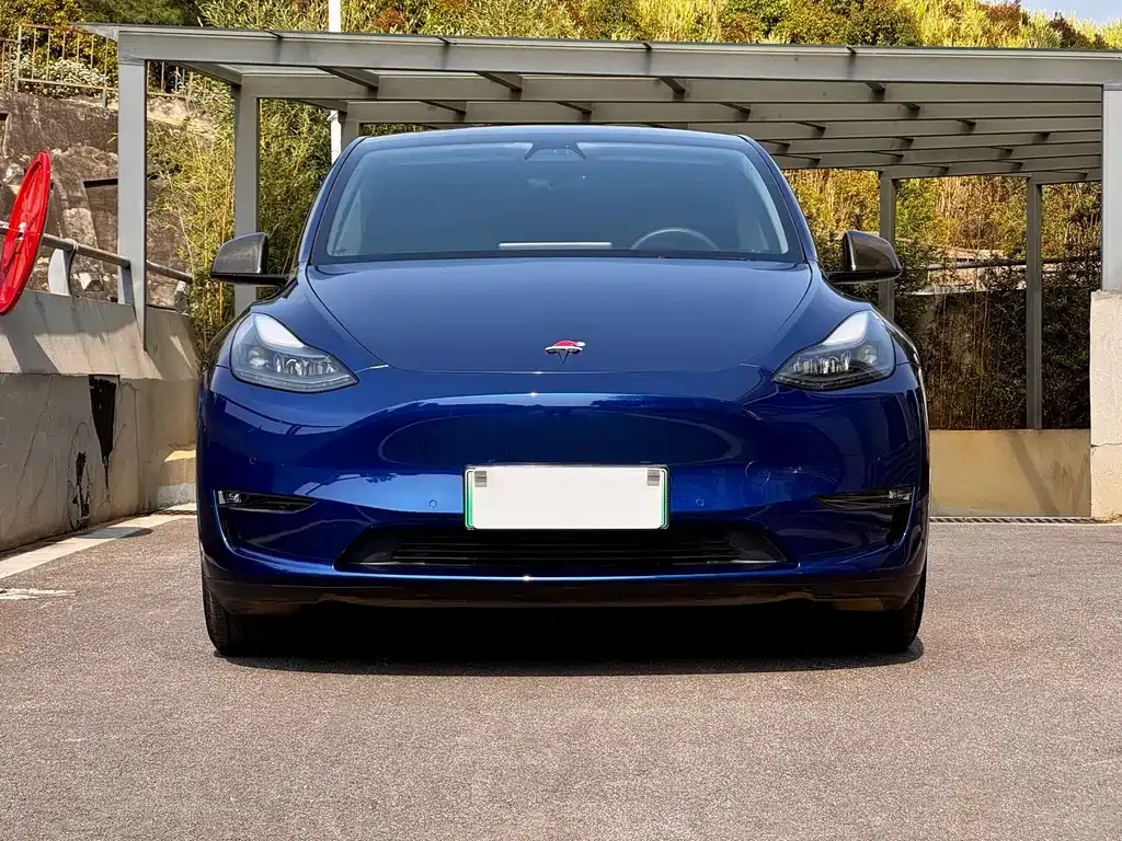 Tesla Model Y — фото 8