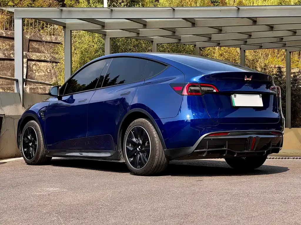 Tesla Model Y — фото 9