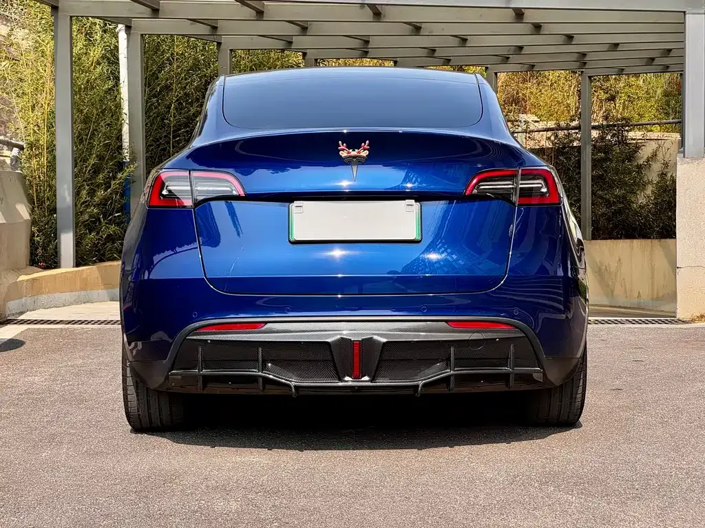Tesla Model Y — фото 4