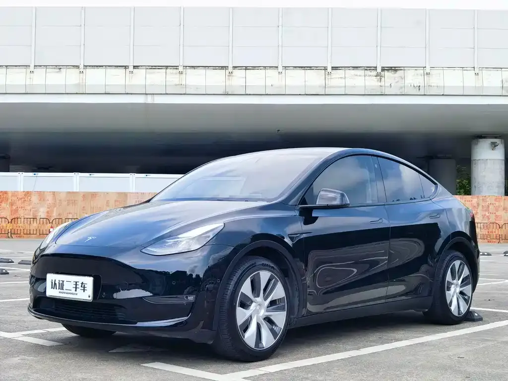 Tesla Model Y — фото 1