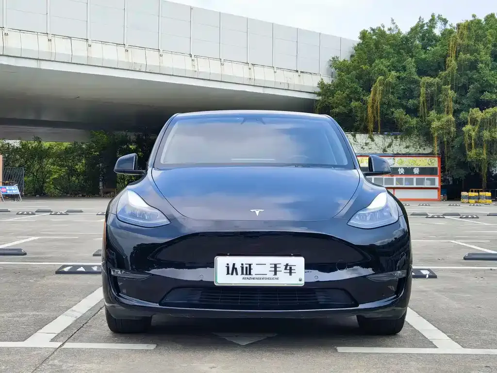 Tesla Model Y — фото 6