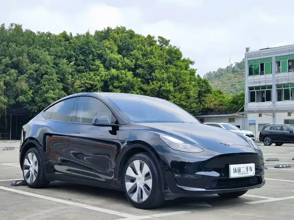 Tesla Model Y — фото 9