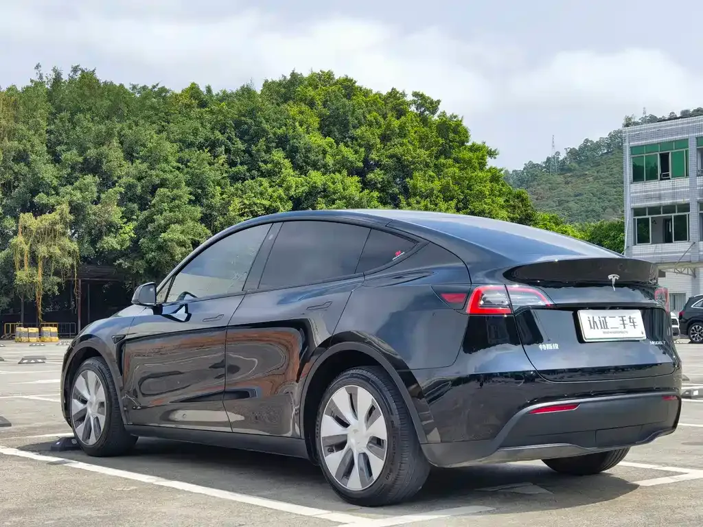 Tesla Model Y — фото 10