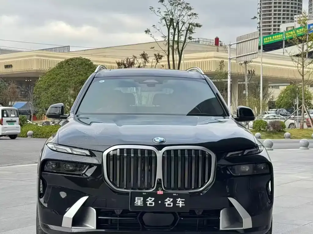 BMW X7 — фото 4