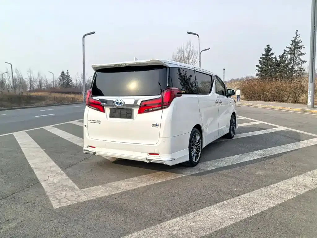 Toyota Alphard — фото 6