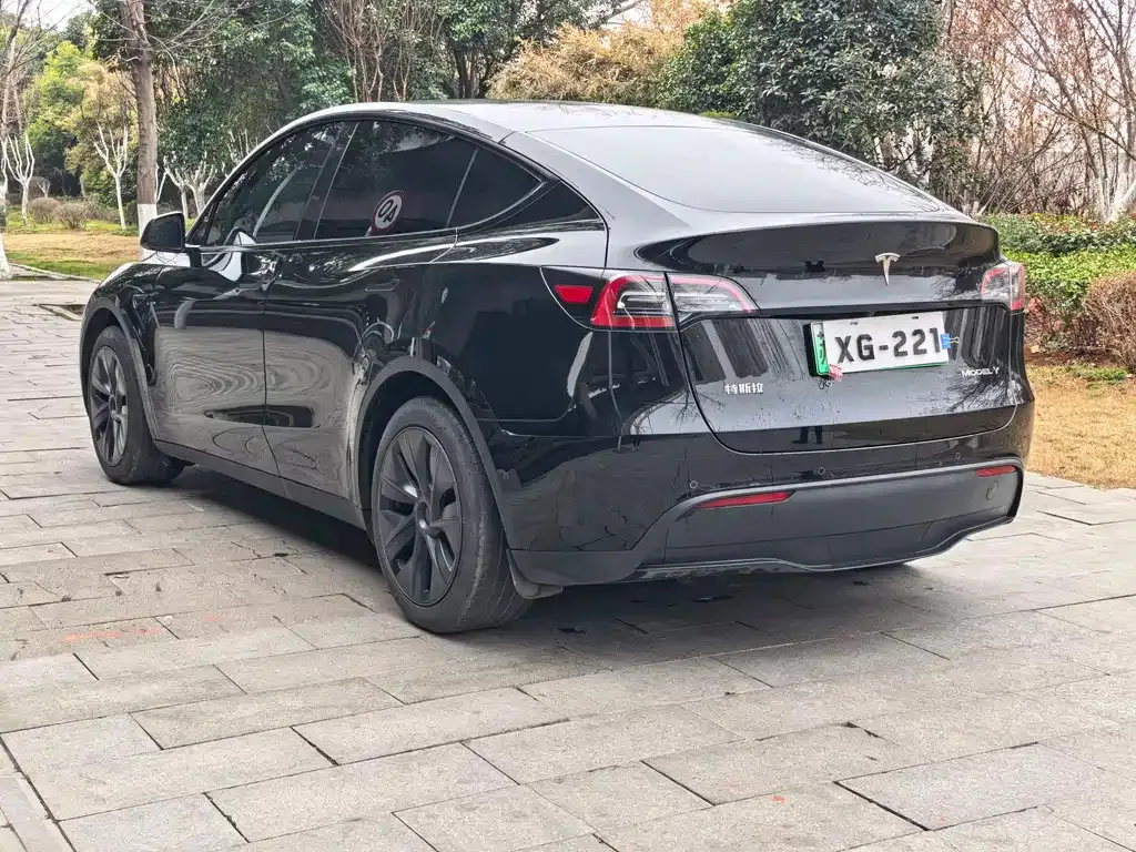 Tesla Model Y — фото 5