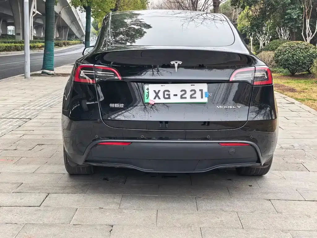 Tesla Model Y — фото 6