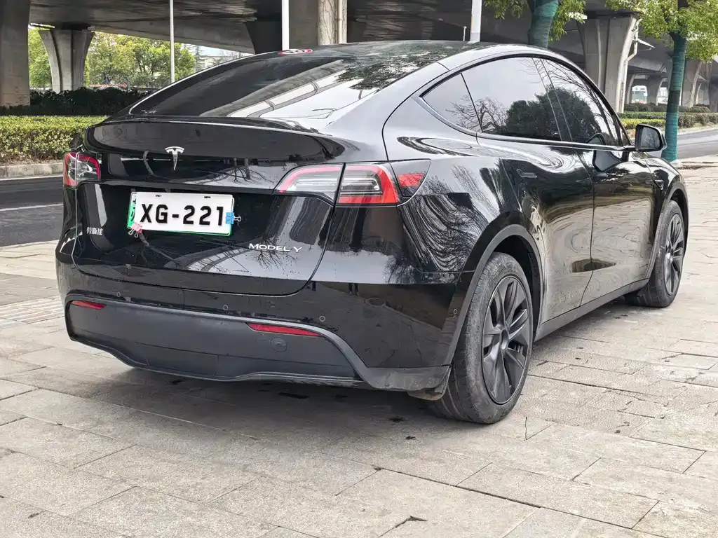 Tesla Model Y — фото 9