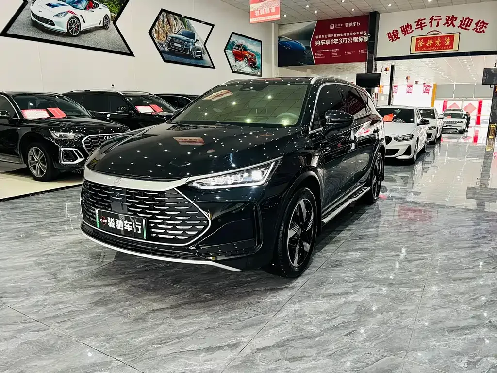 BYD Tang New Energy — фото 1