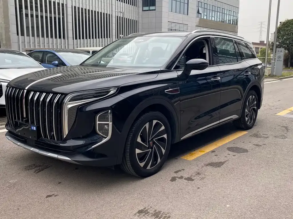 Hongqi HS7 PHEV 2024 из CN, фото 10