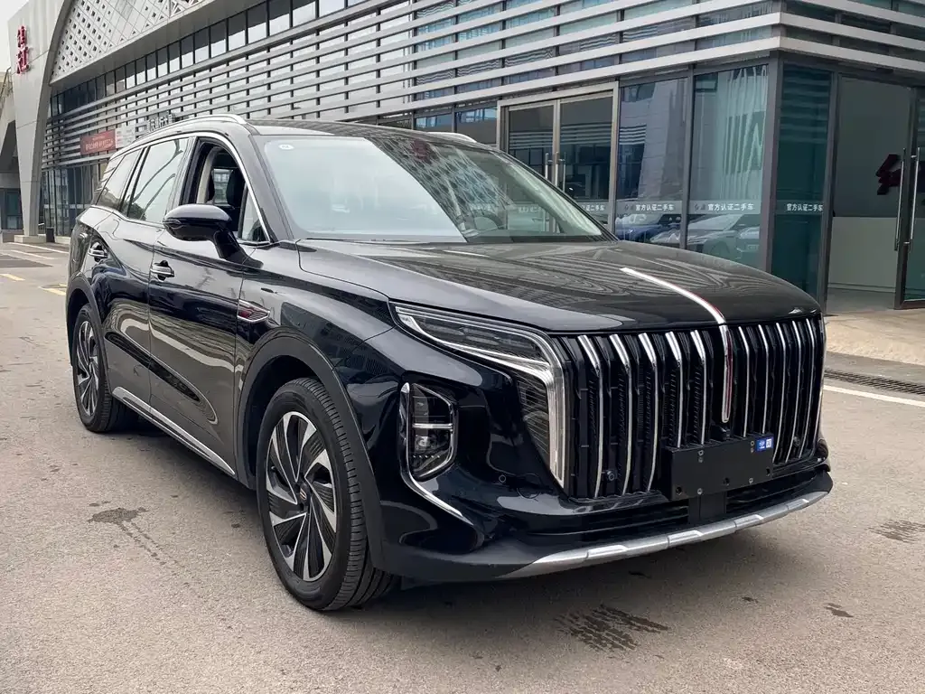 Hongqi HS7 PHEV 2024 из CN, фото 4