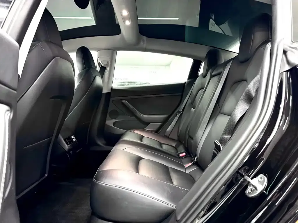 Tesla Model 3 2022 из CN, фото 10