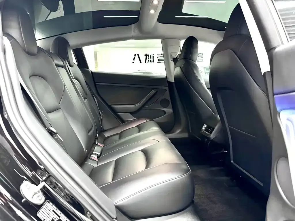 Tesla Model 3 2022 из CN, фото 4