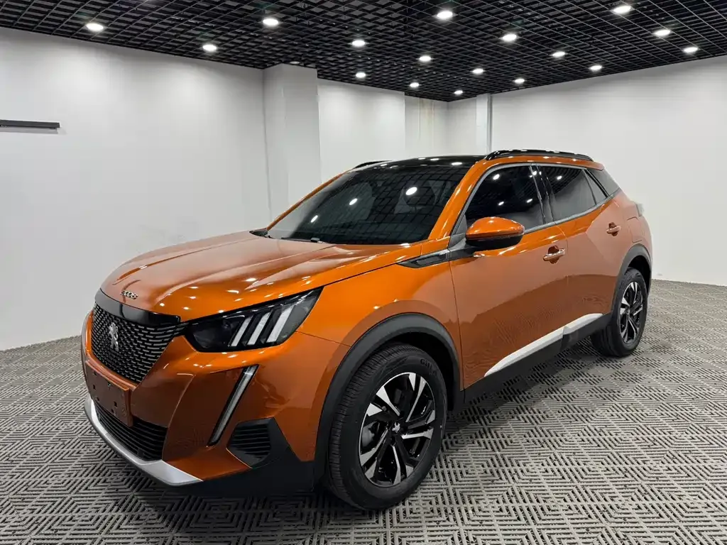 Peugeot 2008 2023 из CN, фото 6