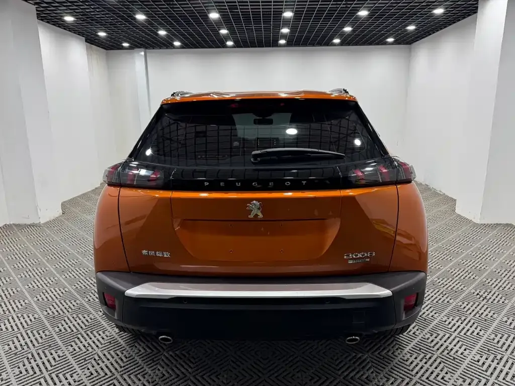Peugeot 2008 2023 из CN, фото 8