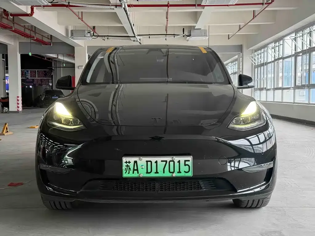 Tesla Model Y — фото 2