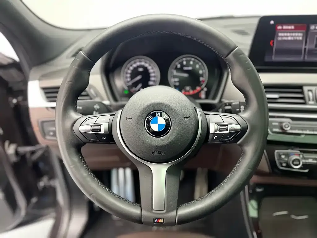BMW X2 2022 из CN, фото 9