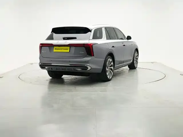 Hongqi E-HS9 2023 из CN, фото 8