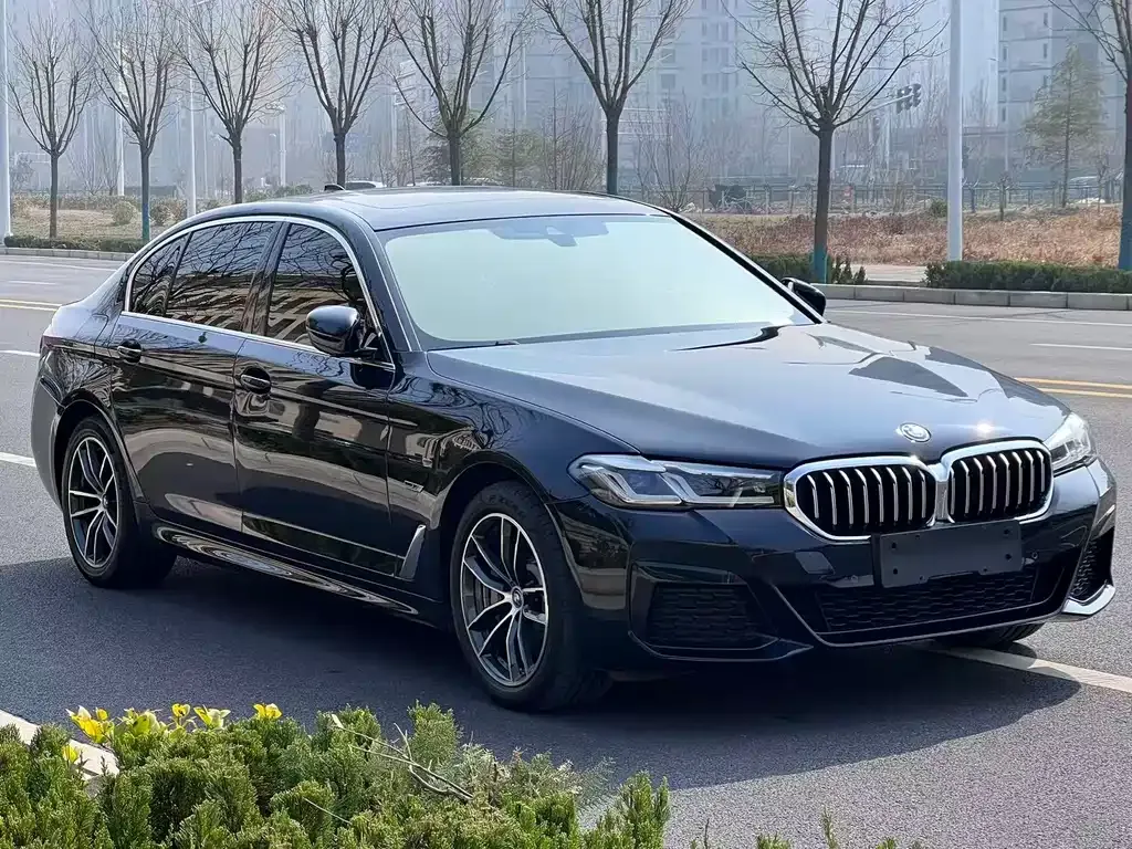 BMW 5 Series New Energy — фото 4