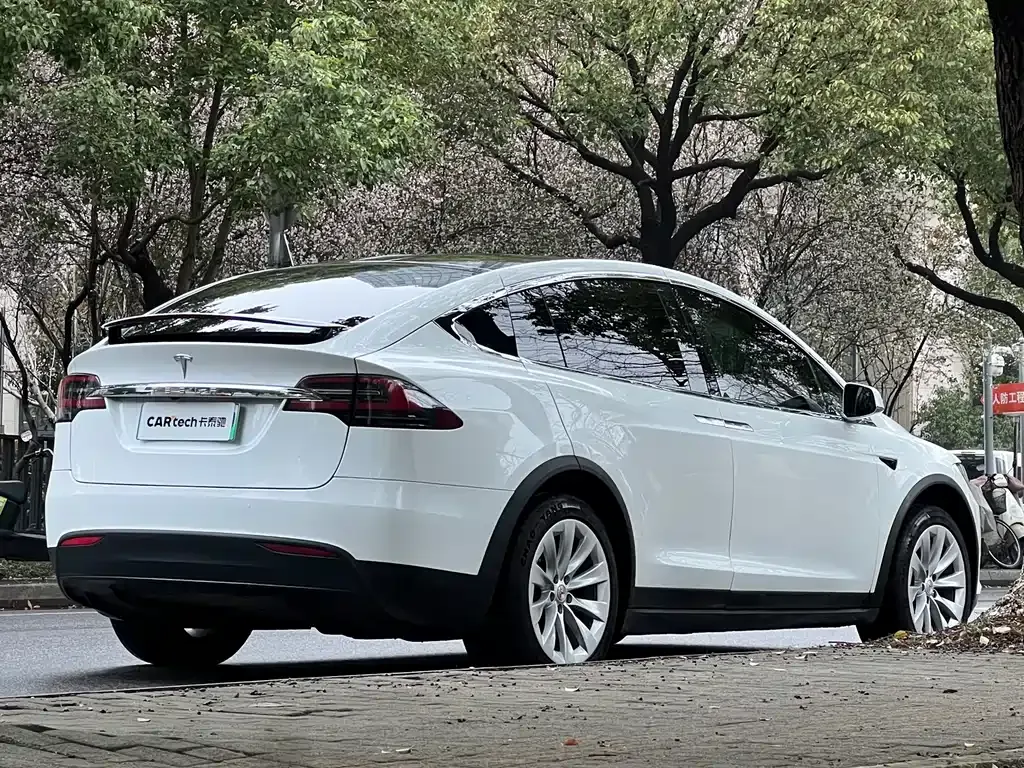 Tesla Model X — фото 8